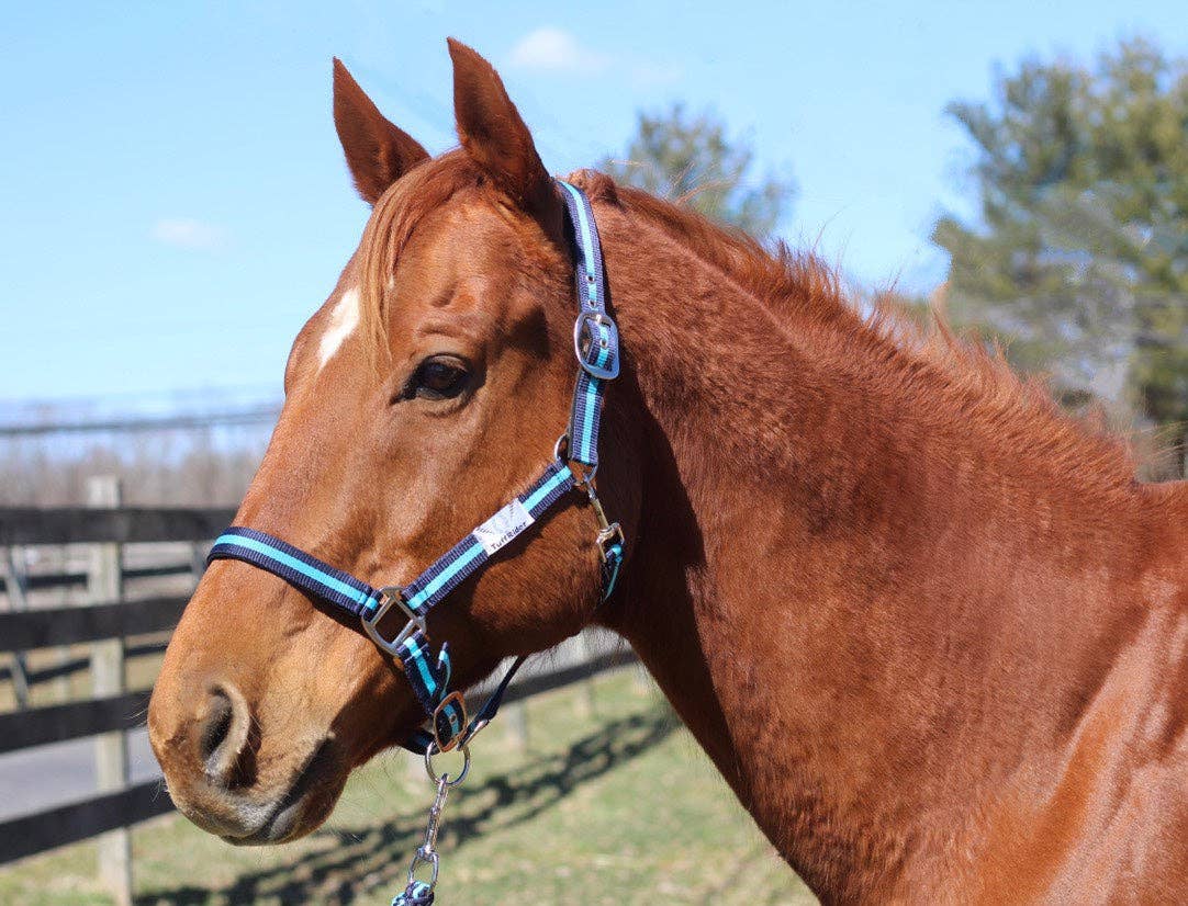 JPC Equestrian - TuffRider Nylon Breakaway Halter & Lead Rope Set
