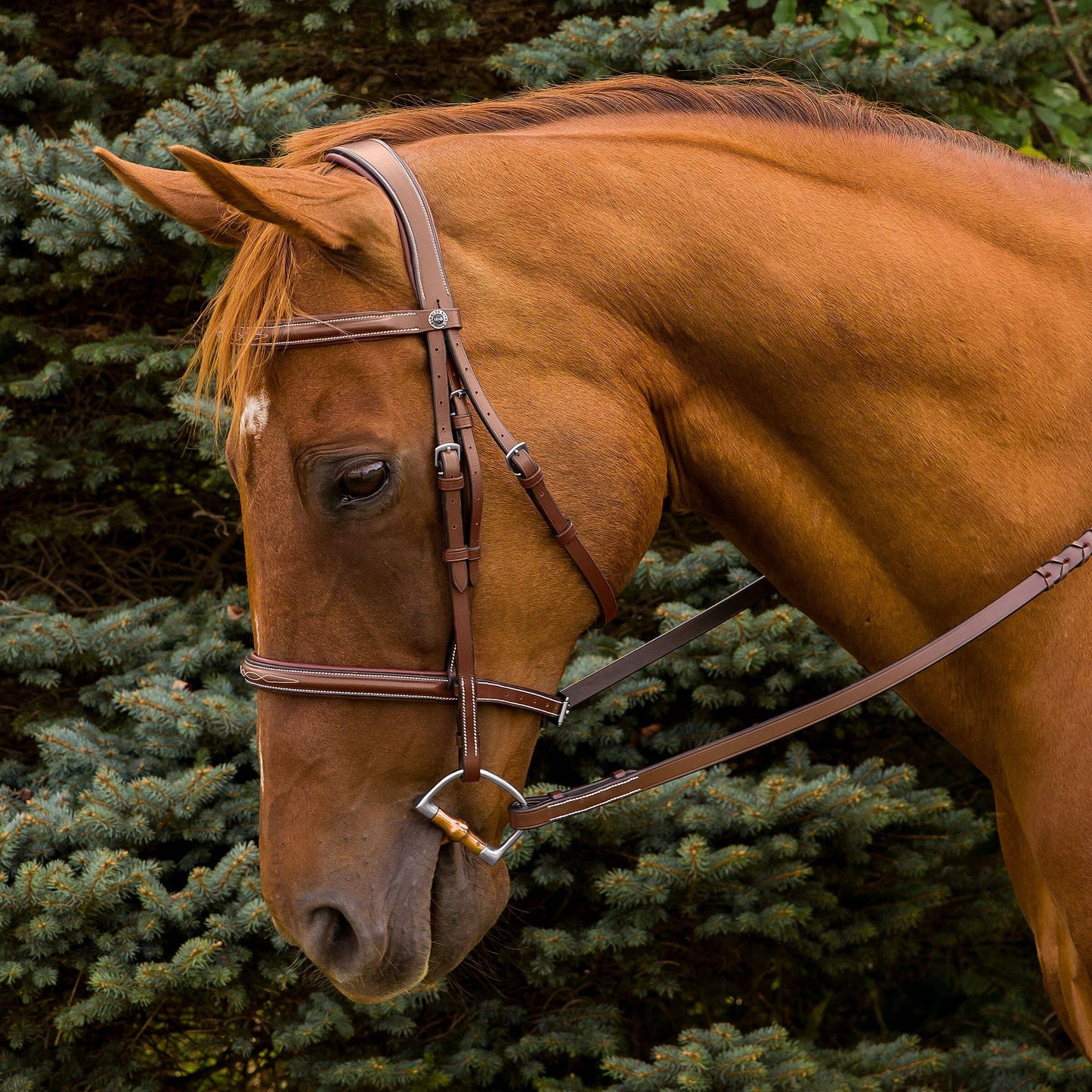JPC Equestrian - Henri de Rivel Pro Mono Crown Fancy Stitched Padded Bridle