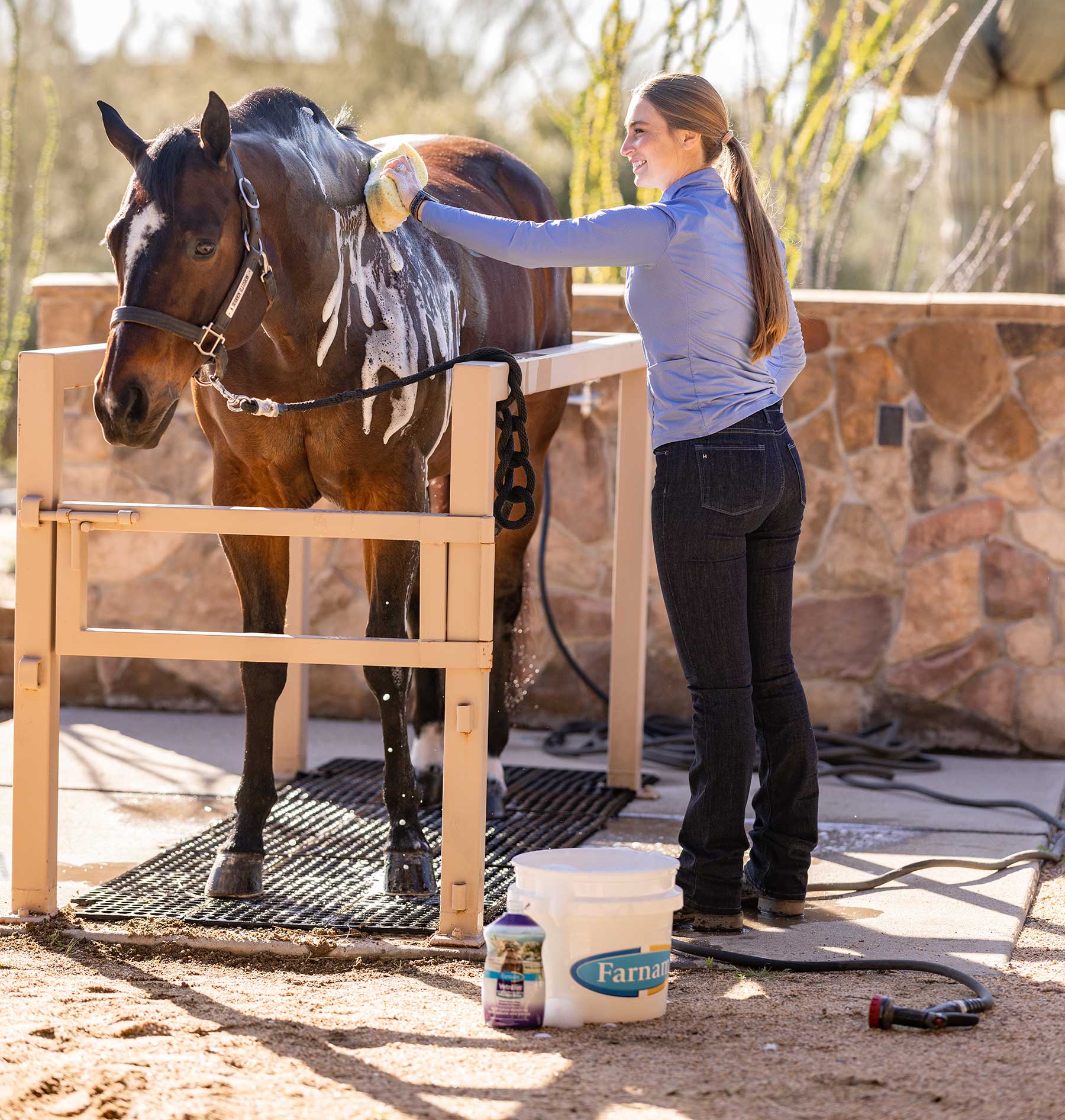 Horse Care Haven