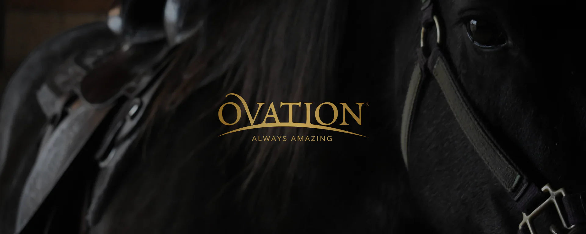 Ovation