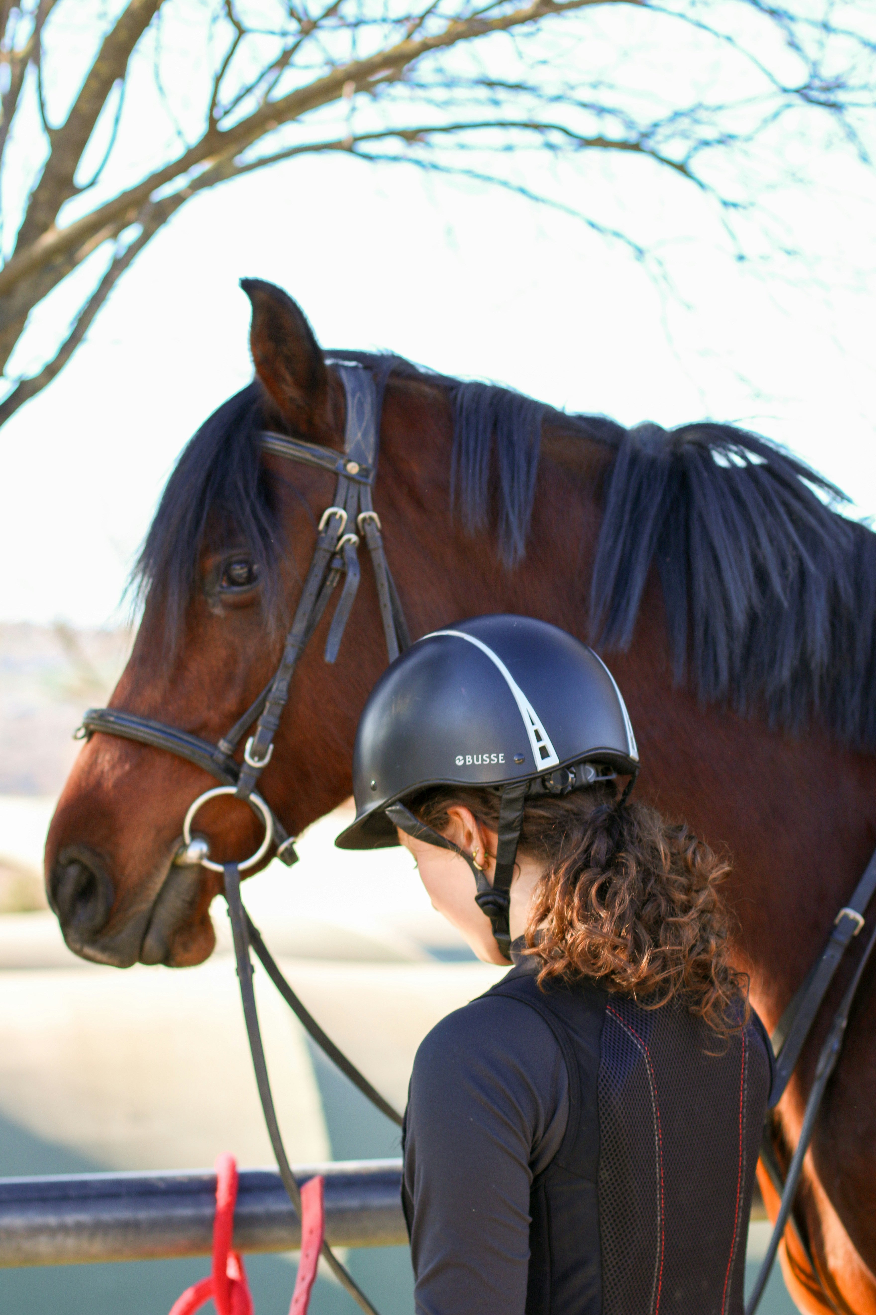 Riding Helmets