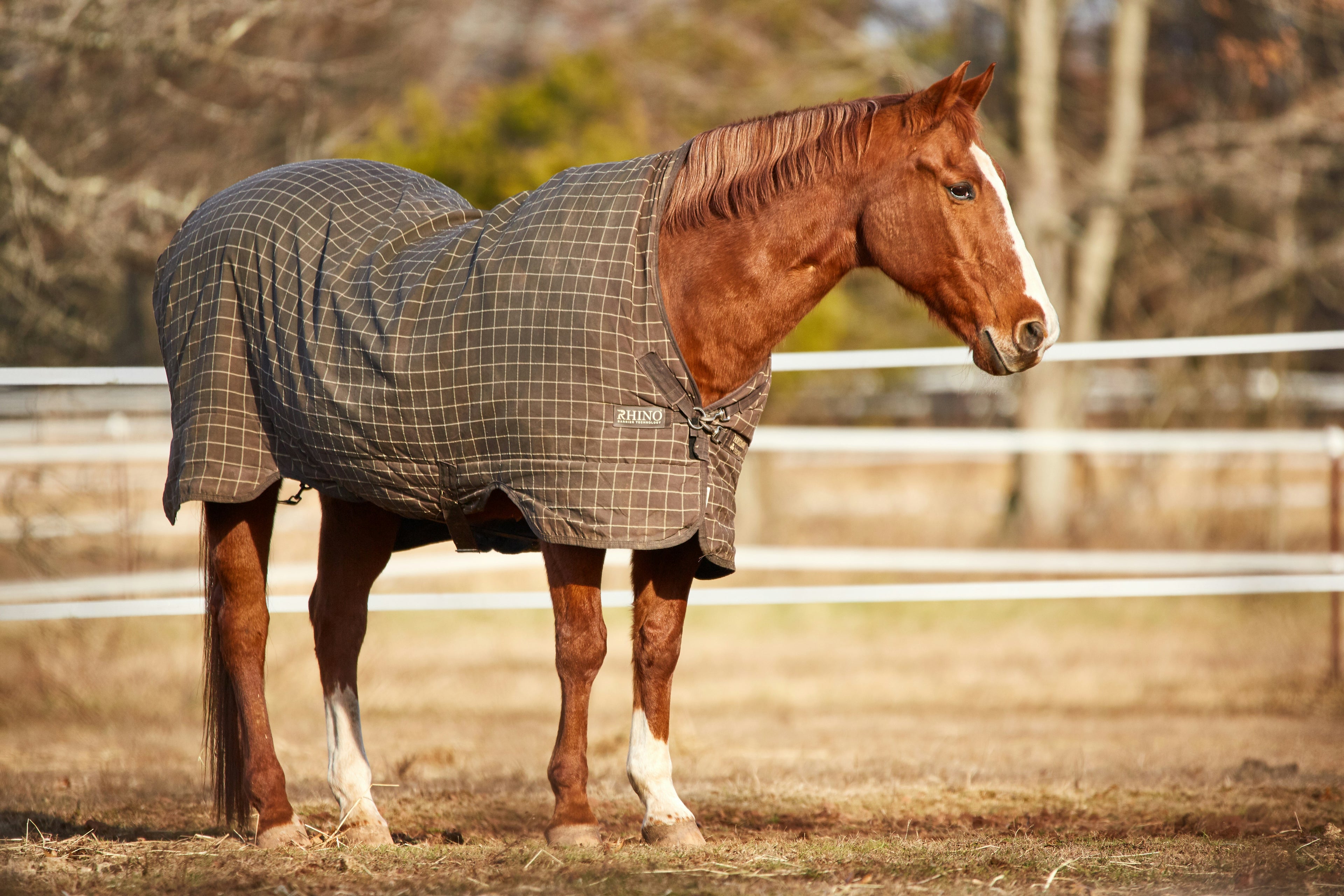 Horse Blankets and Sheets