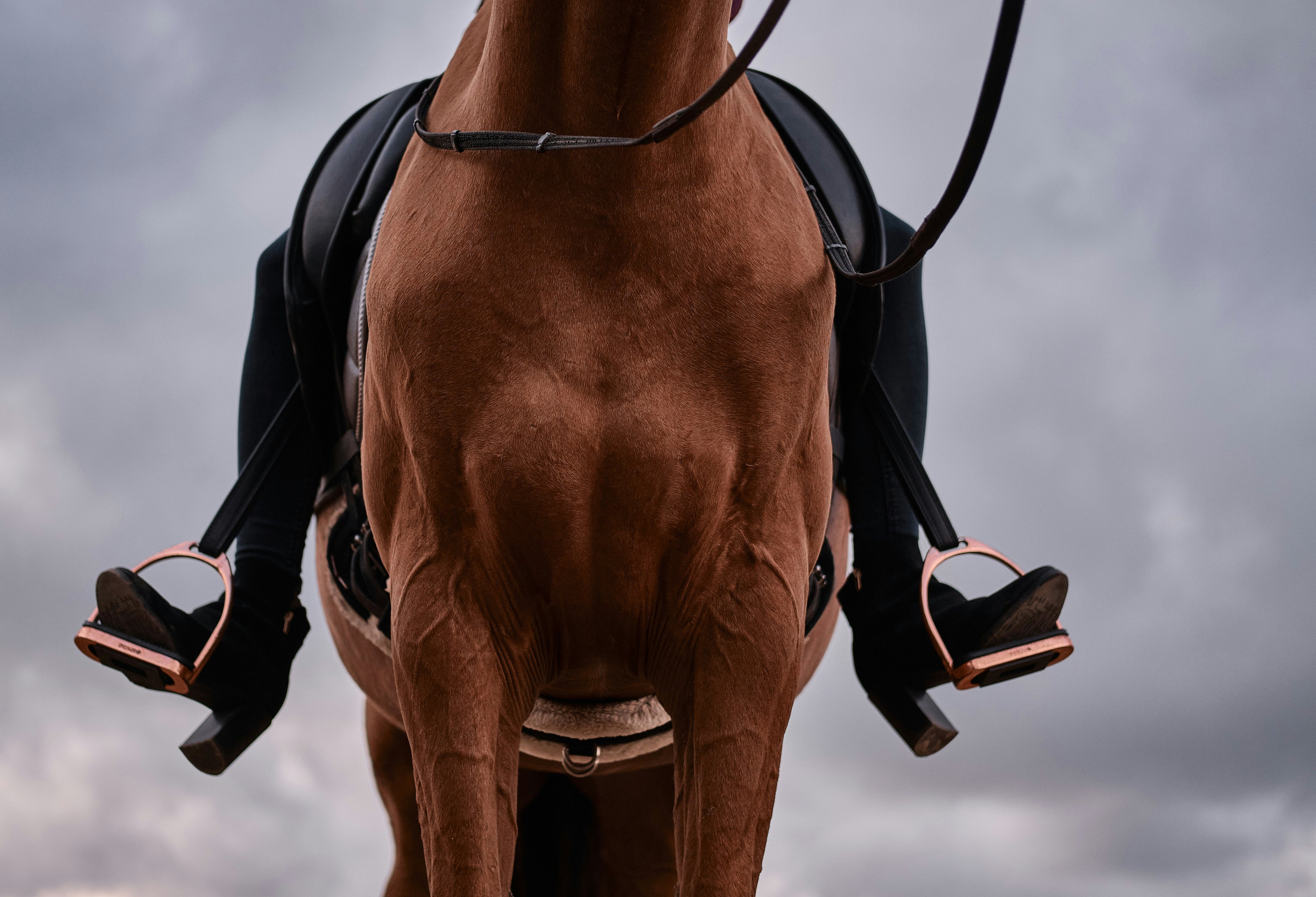 Boots and Half Chaps