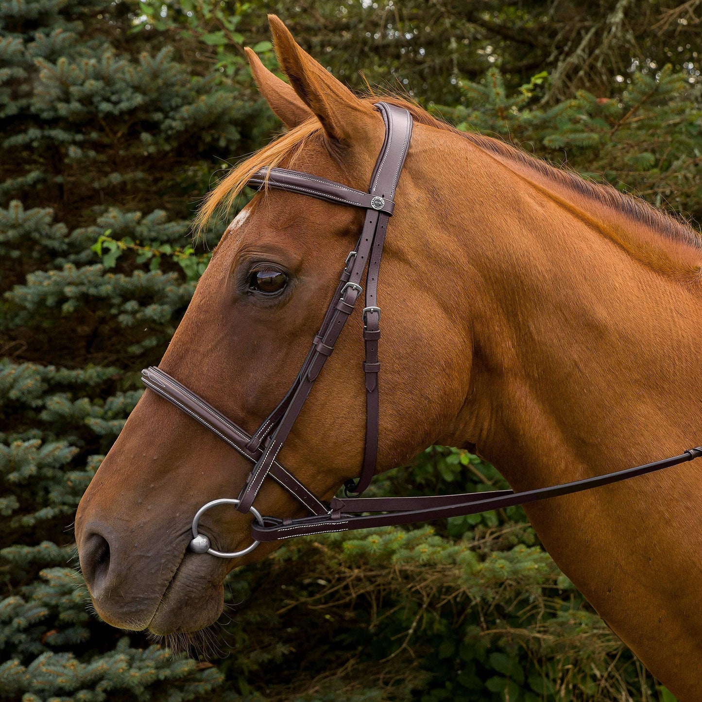 JPC Equestrian - Henri de Rivel Pro Mono Crown Fancy Stitched Padded Bridle