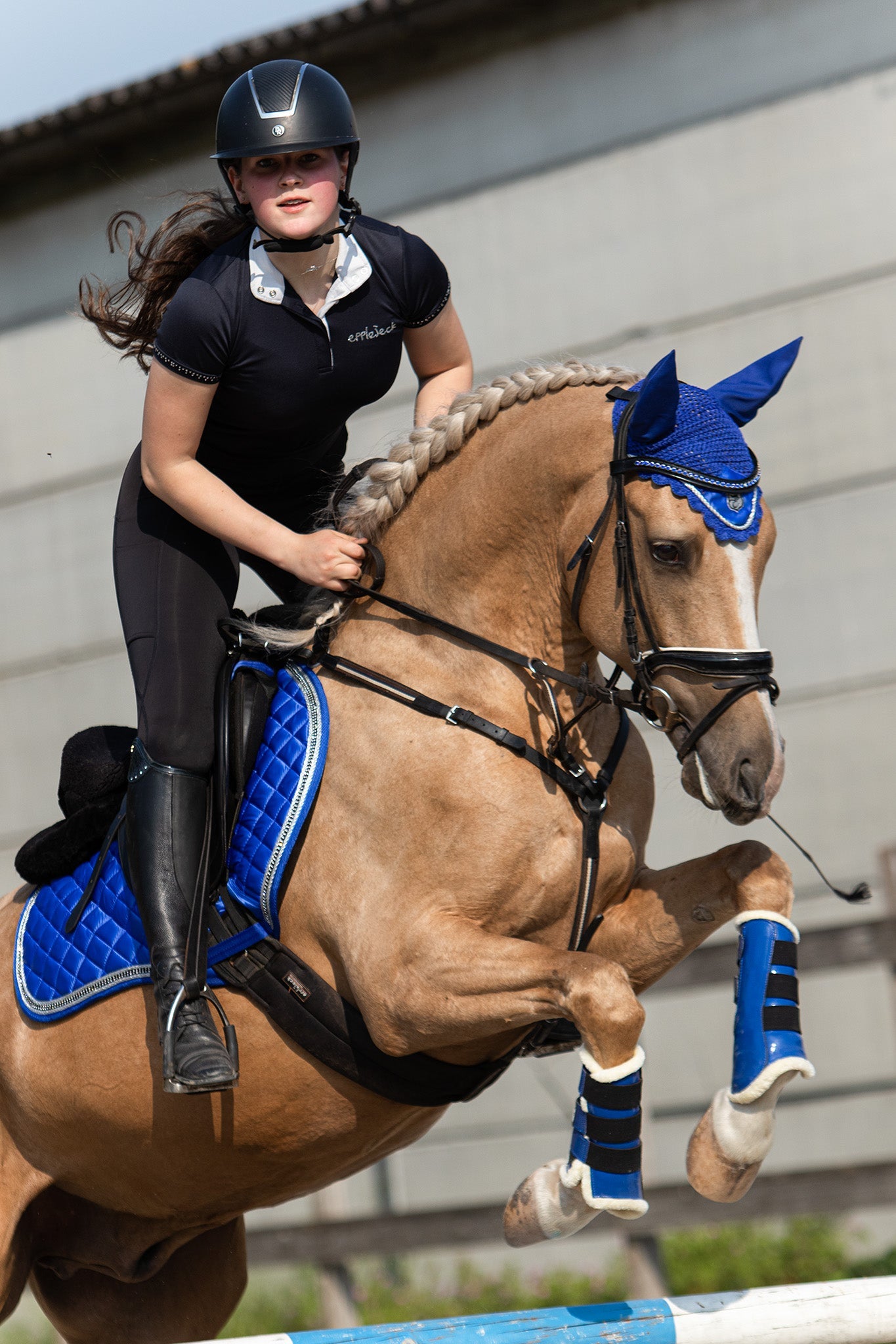 Majorelle Blue Saddle Pad Set