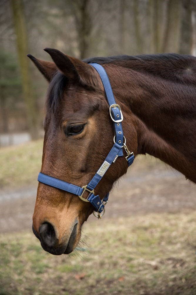 JPC Equestrian - Lettia EquiFine Halter