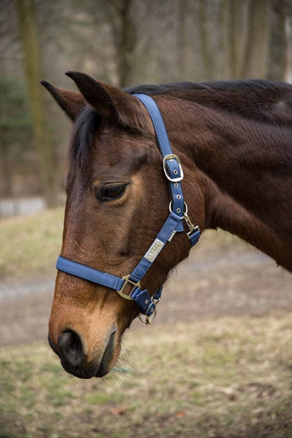 JPC Equestrian - Lettia EquiFine Halter