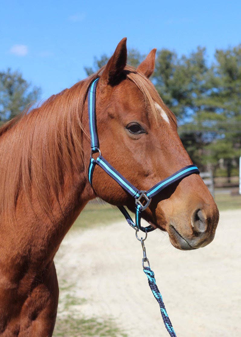 JPC Equestrian - TuffRider Nylon Breakaway Halter & Lead Rope Set