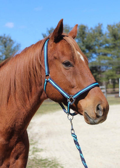 JPC Equestrian - TuffRider Nylon Breakaway Halter & Lead Rope Set