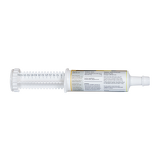 Daily Gold® Paste - Digestive Stress Relief for Horses
