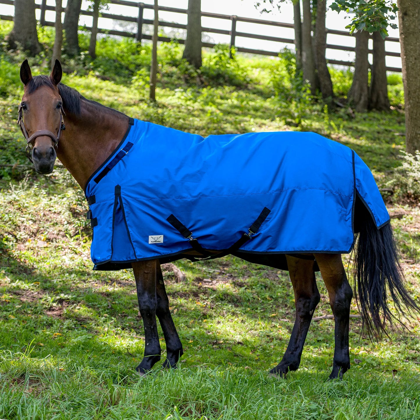 TuffRider Comfy-Fit Medium Weight Standard Neck Turnout Blanket w/ Adjustable Neck Opening- 1200D, 200 GSM