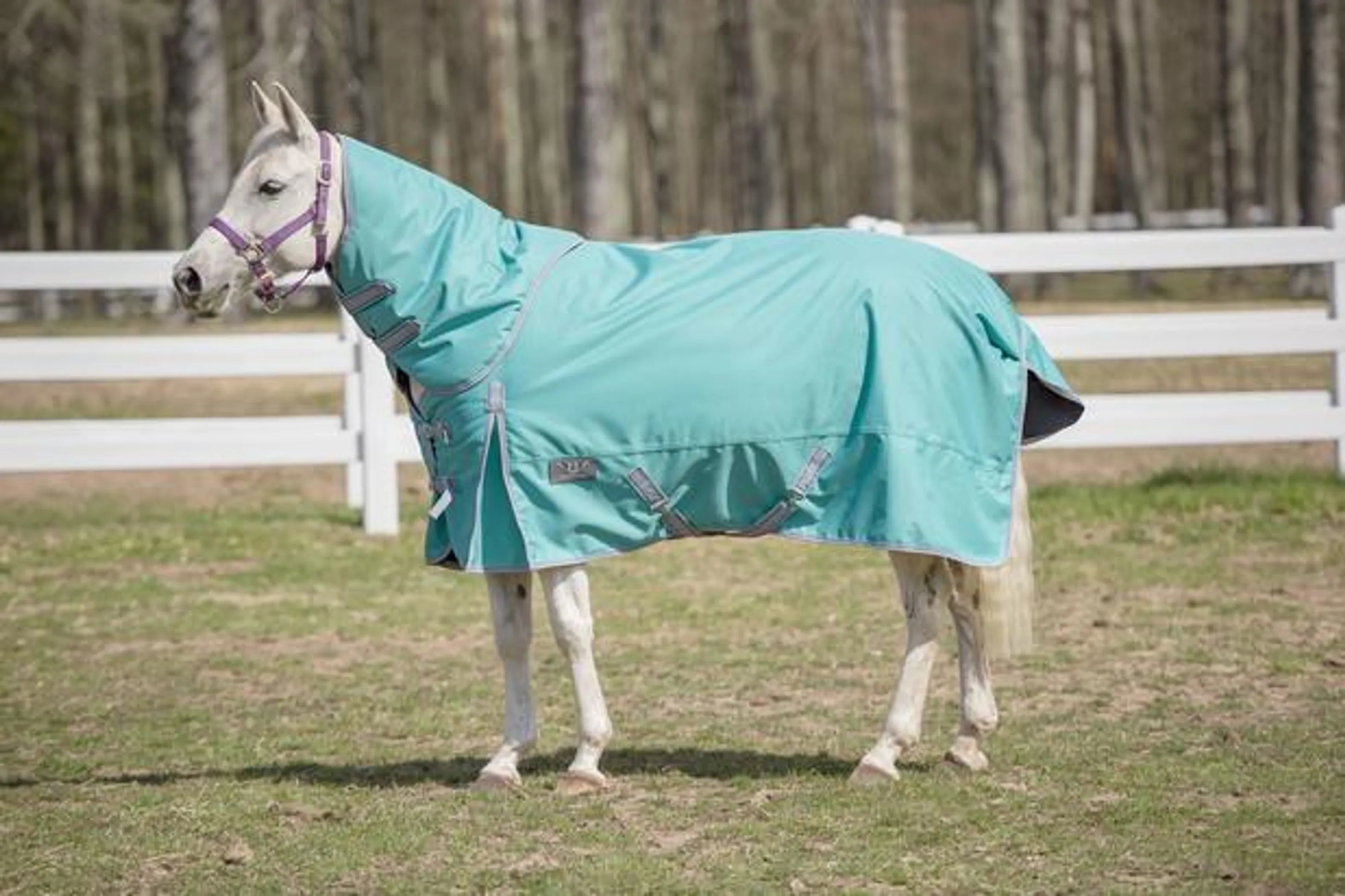 TuffRider 1200 D Comfy Winter Medium Weight Turnout Blanket w/ Detachable Neck- 200 GSM