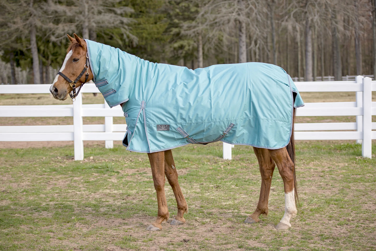 TuffRider 600 D Comfy Winter Medium Weight Turnout Blanket w/ Combo Neck- 200 GSM