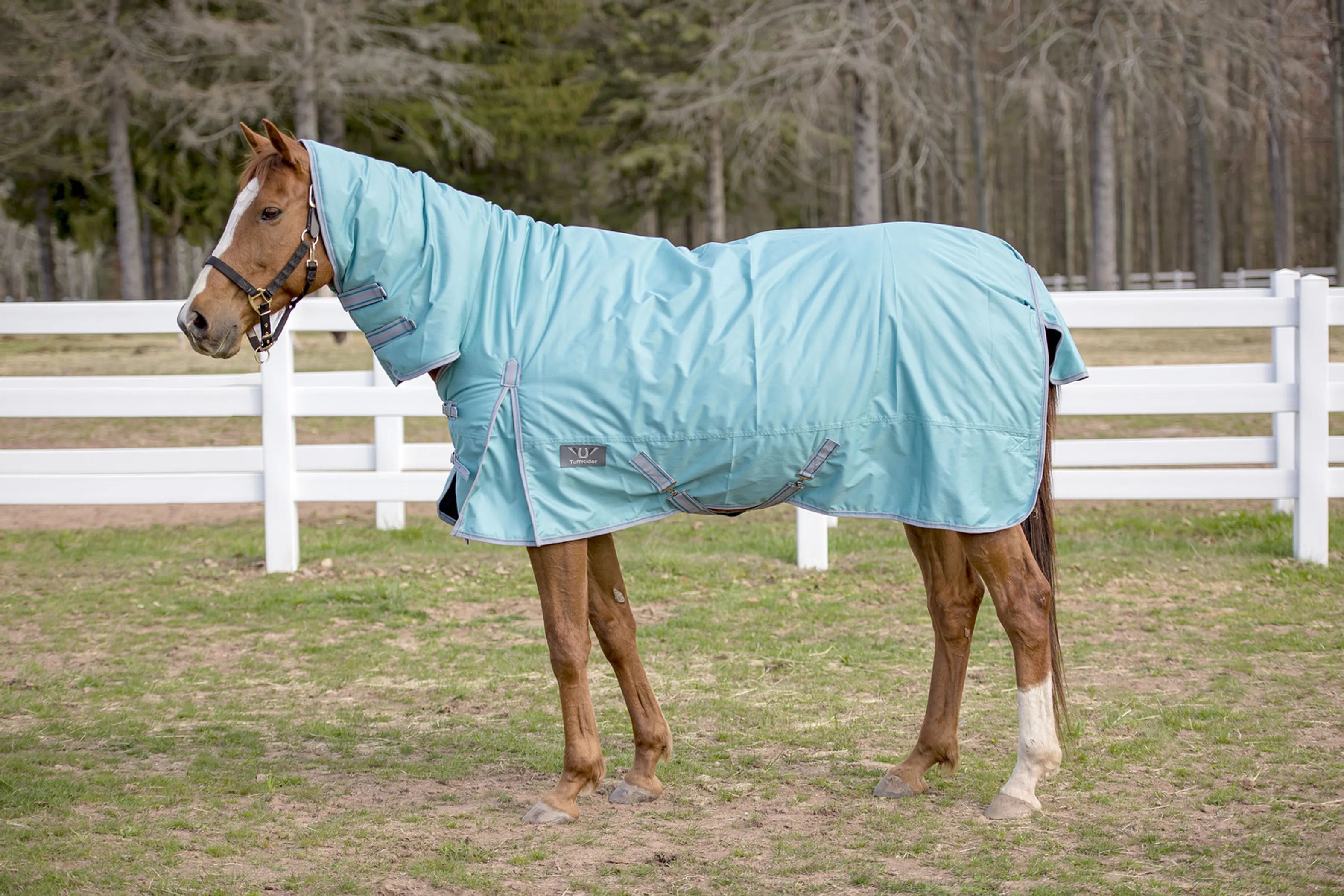 TuffRider 600 D Comfy Winter Medium Weight Turnout Blanket w/ Combo Neck- 200 GSM