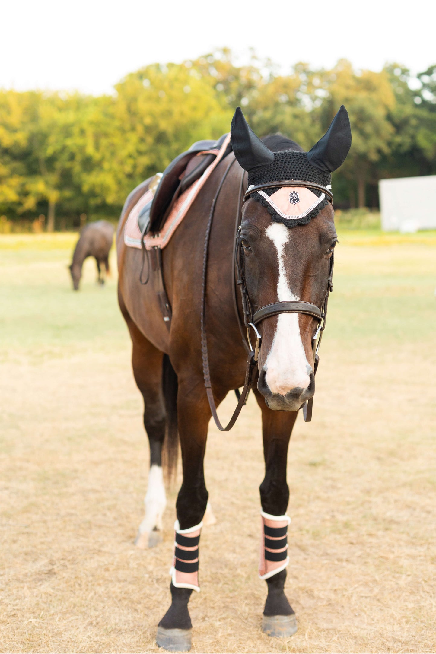 Powder Pink Suede Saddle Pad Set