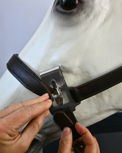Magna Halter ™ in Black With Leather Breakaway