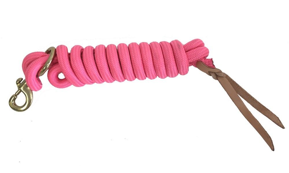 AJ Tack 9 Foot Nylon Lead Rope with Leather Popper