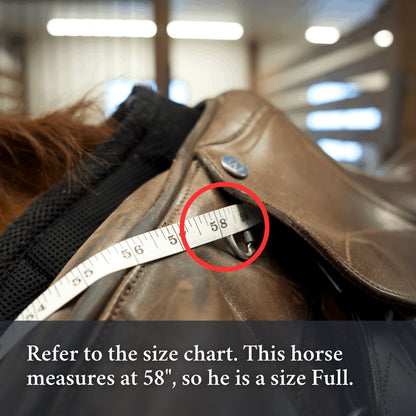 3-in-1 Training Breastplate