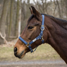 JPC Equestrian - Lettia EquiFine Halter