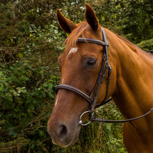 JPC Equestrian - Henri de Rivel Pro Mono Crown Fancy Stitched Padded Bridle