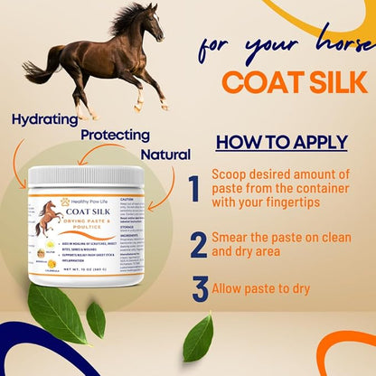 Coat Silk Drying Paste & Poultice for Horses – Natural Relief for Wounds, Scratches, Sores & Sweet Itch – Enriched with Sulfur, Boswellia & Calendula – 10 oz