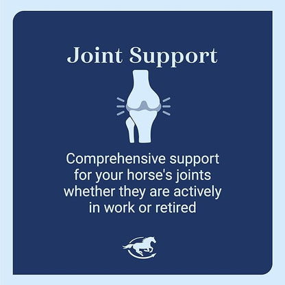 SmartEquine Leg Up Joint Pellets | Joint Support Supplement For Horses | Glucosamine Chondroitin Sulfate and Antioxidants Formula With No Added Sugar | Ideal For Light Work Horses | 45 Servings | 2 lb