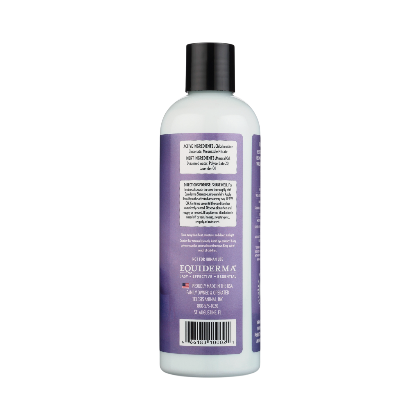 Skin Lotion