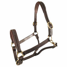 Kelley and Company - Jamestown Padded Halter with Fancy Stitching