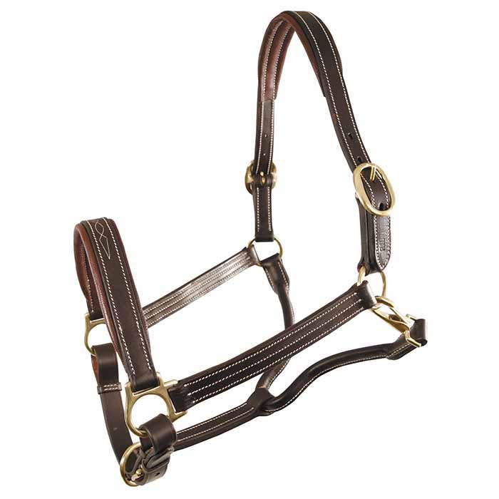 Kelley and Company - Jamestown Padded Halter with Fancy Stitching