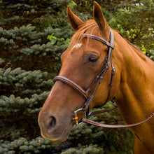 JPC Equestrian - Henri de Rivel Pro Mono Crown Fancy Stitched Padded Bridle