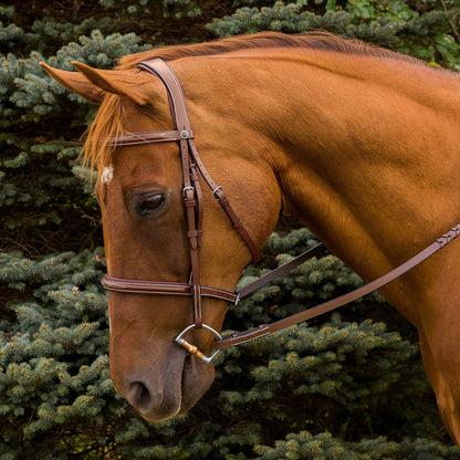 JPC Equestrian - Henri de Rivel Pro Mono Crown Fancy Stitched Padded Bridle