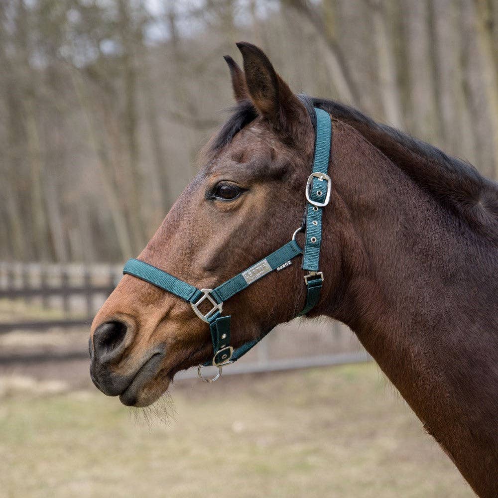 JPC Equestrian - Lettia EquiFine Halter