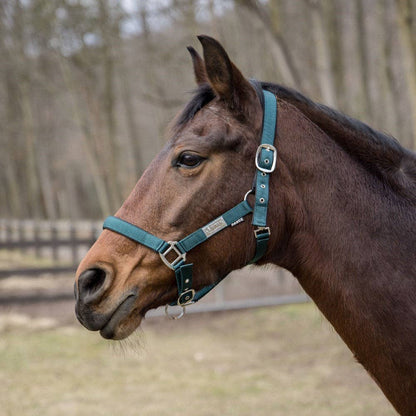 JPC Equestrian - Lettia EquiFine Halter