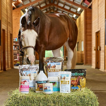 Uckele by SmartEquine Horse Biotin Powder | Hoof Supplement for Horses | Biotin for Horses | Includes Zinc and Methionine | 18 oz Jar