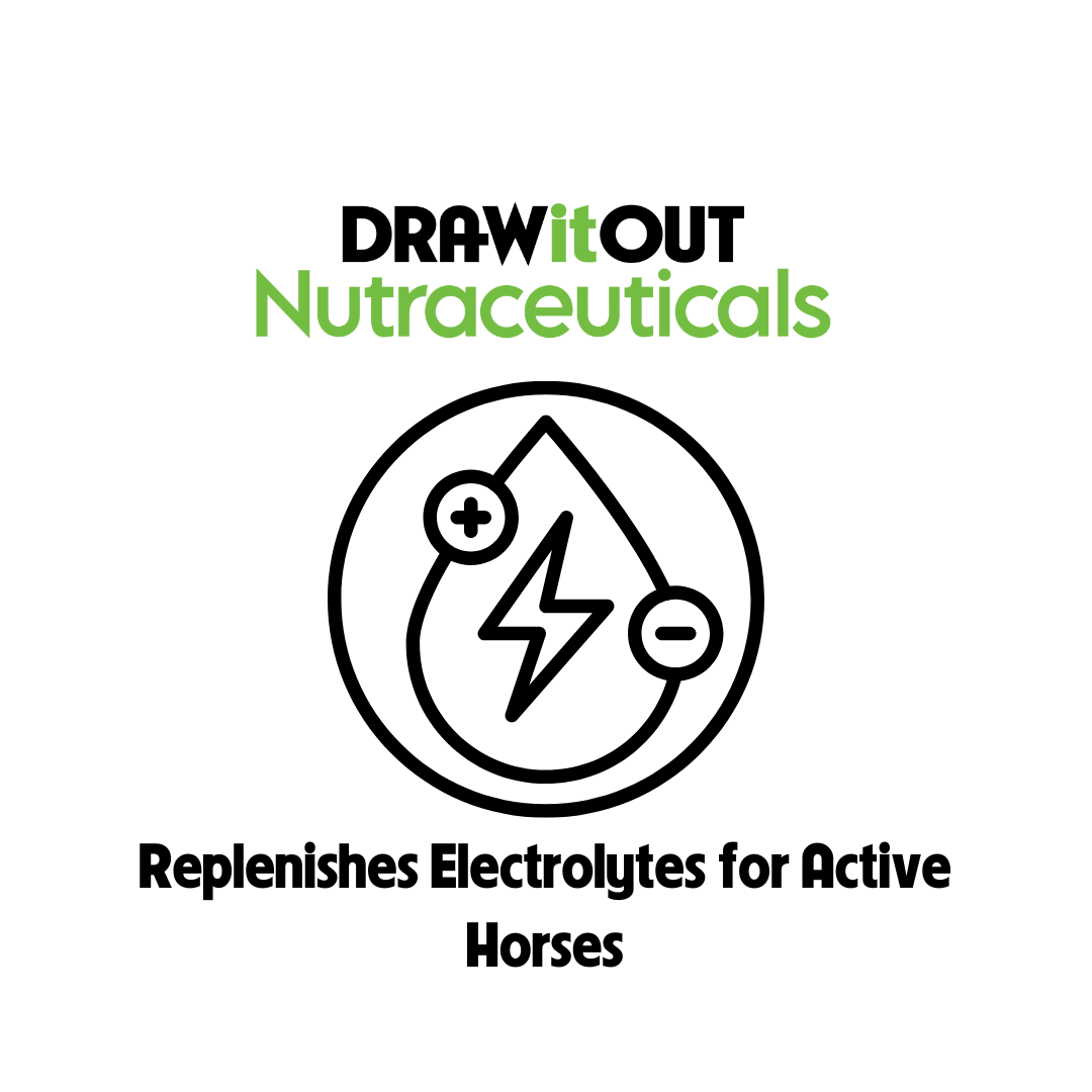 Hydro-Lyte® with GastroCell® 40oz | Horse Electrolyte and Gut Support