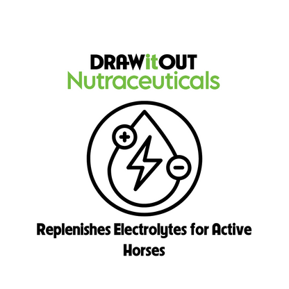 Hydro-Lyte® with GastroCell® 40oz | Horse Electrolyte and Gut Support