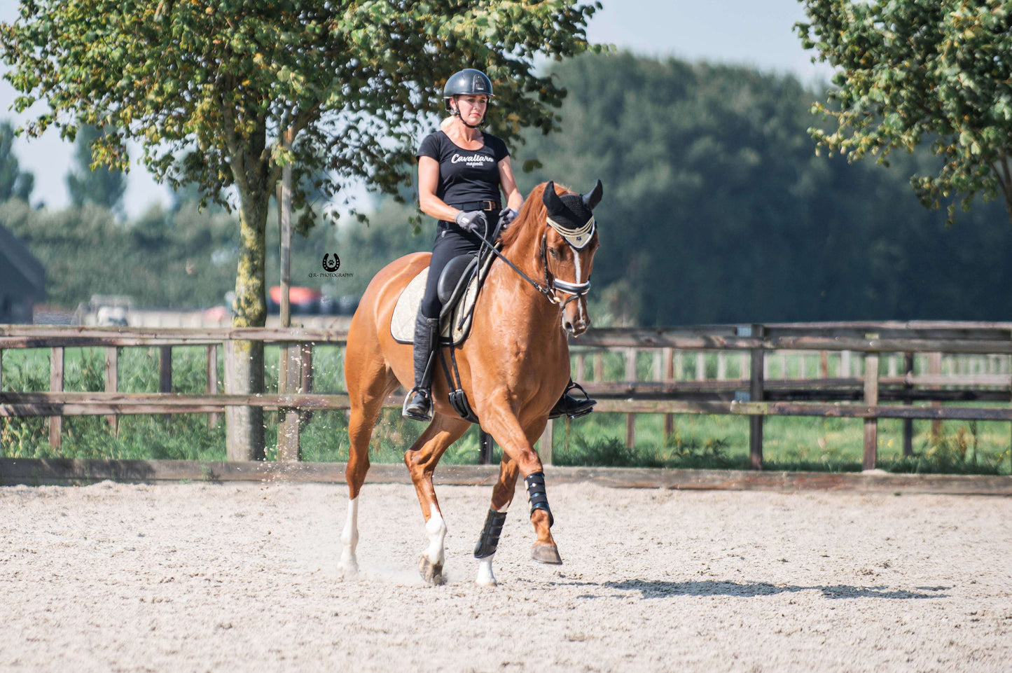 Champagne Signature Brushing Boots