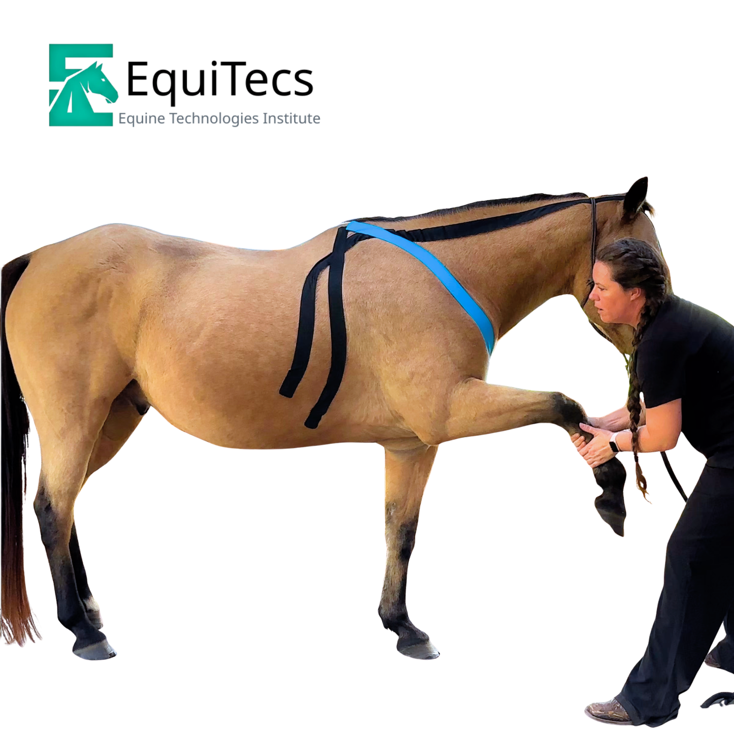 EFT Functional Tape 2-Way 2" Single Roll