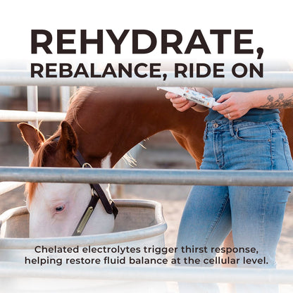 IsoBalance - Horse Electrolyte Paste