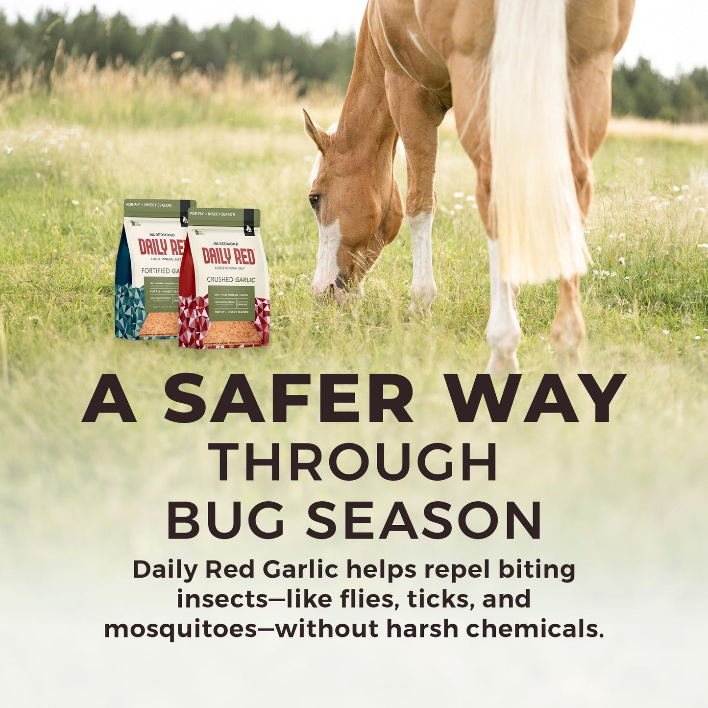 Daily Red® Crushed™ Garlic - Mineral Supplement for Horses