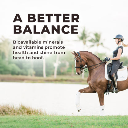 Daily Red® Fortified Garlic - Horse Vitamin & Mineral Supplement