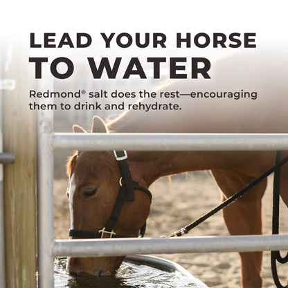 Daily Red® Fortified - Vitamin & Mineral Supplement For Horses
