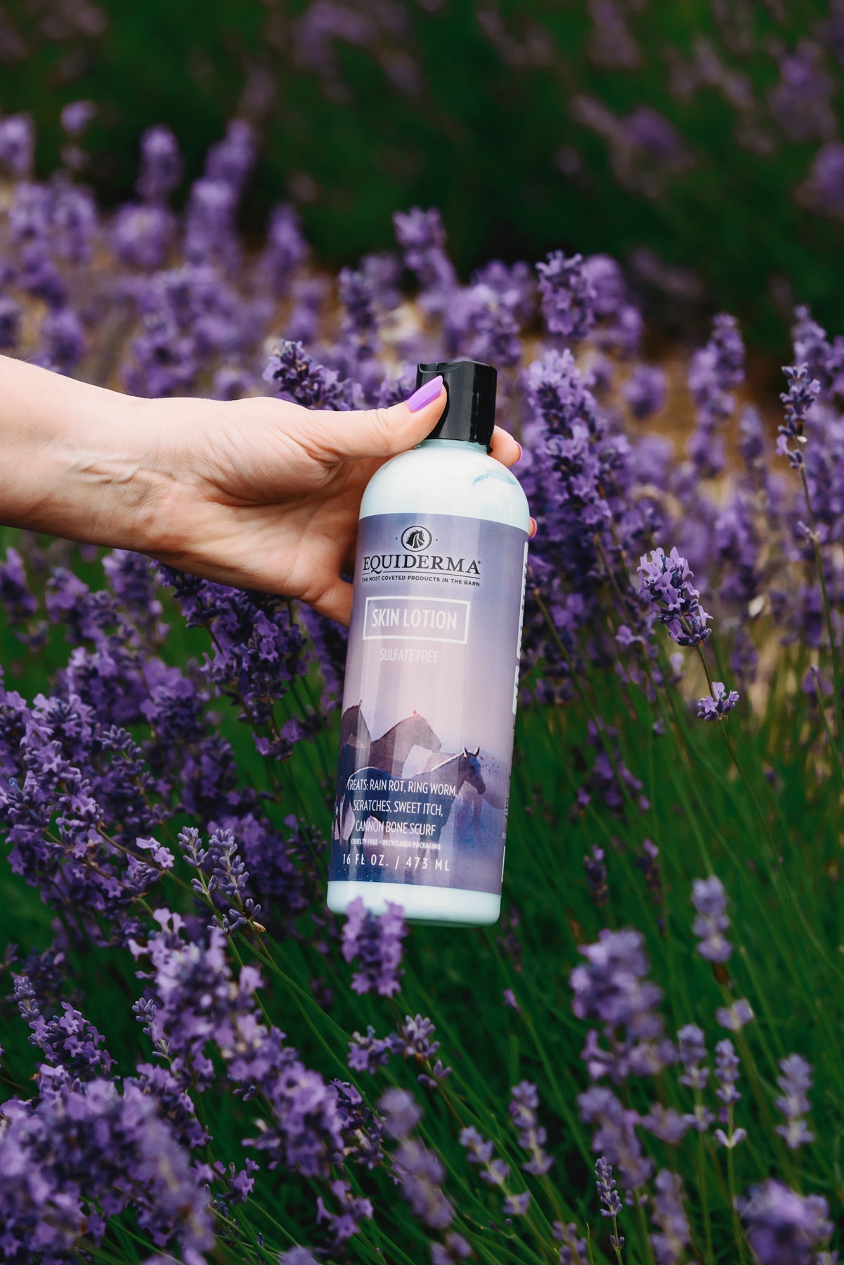 Skin Lotion