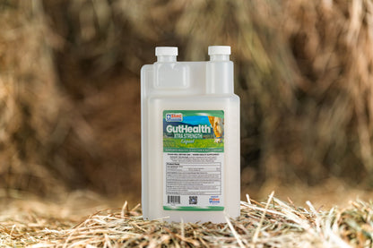 GutHealth Xtra Strength Liquid