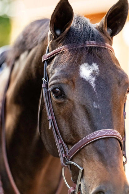 Huntley Equestrian Fancy Stitched Schooling Hunter Bridle with Reins