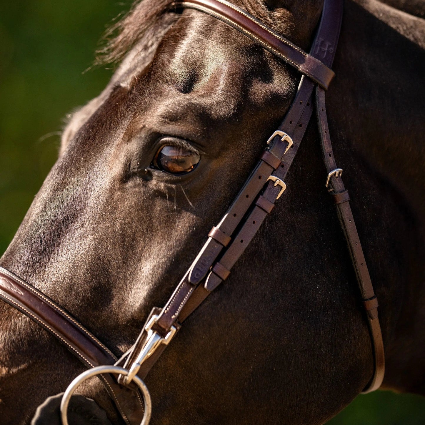 Huntley Equestrian Sedgwick Fancy Stitched Bridle with Cheek Clips and Reins