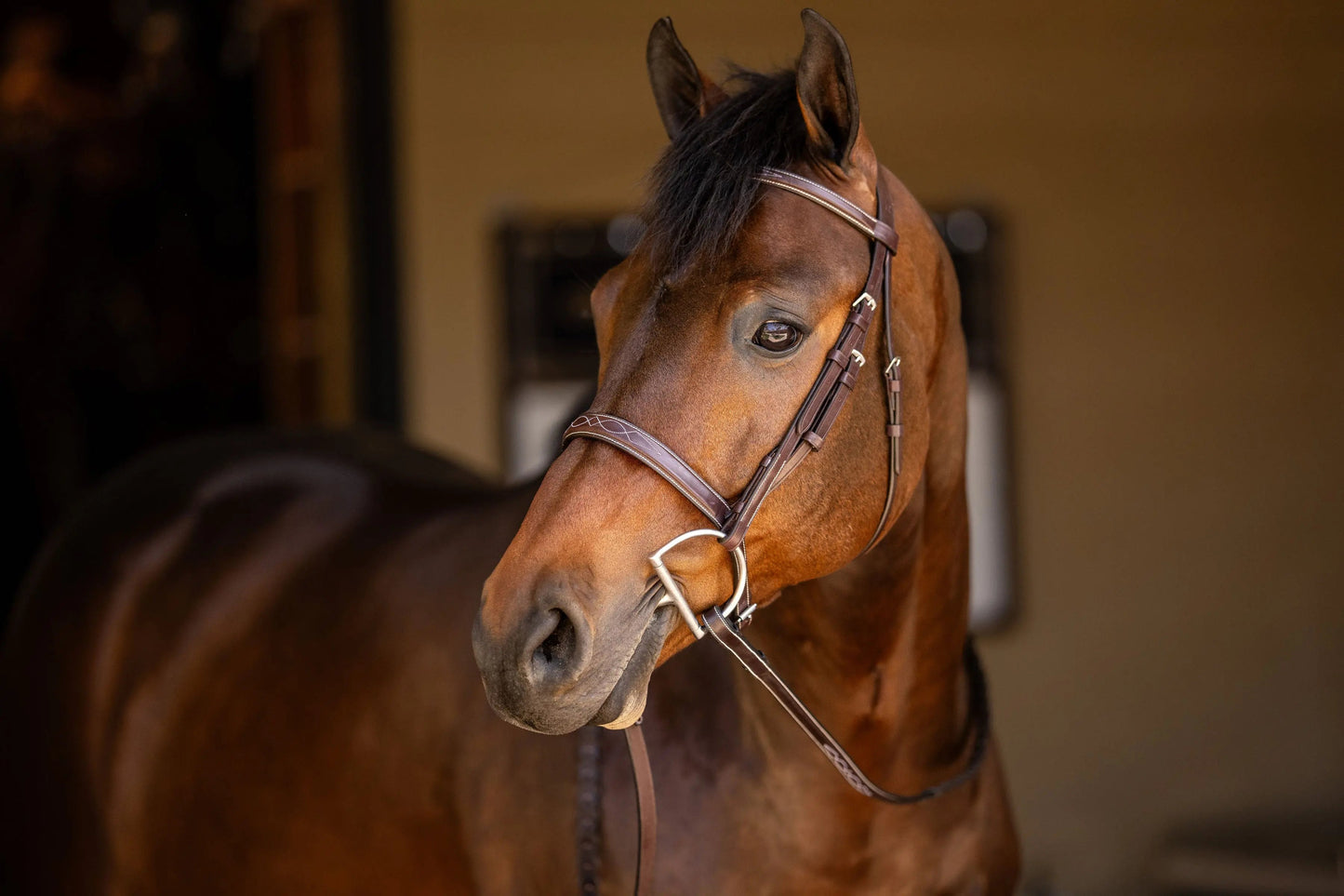Huntley Equestrian Sedgwick Fancy Stitched Square Raised Hunter Horse Bridle with Reins