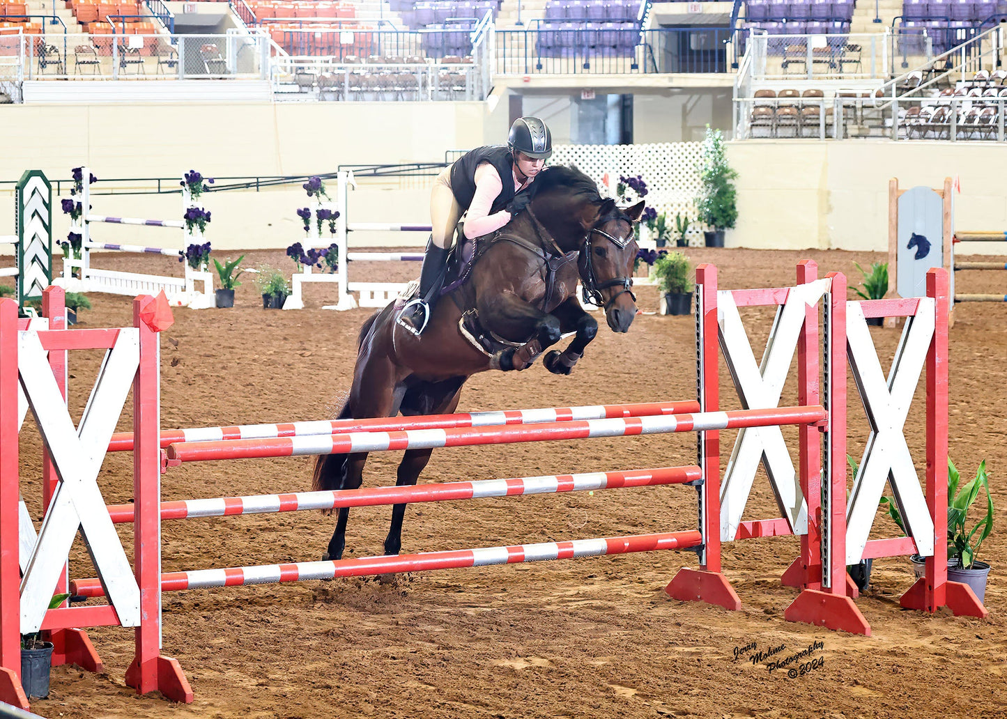 Dignified Competition Breeches - Beige Knee Patch