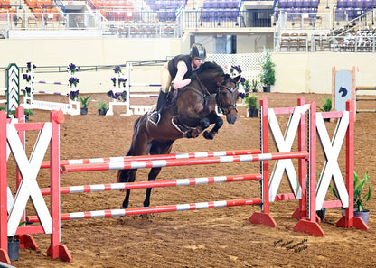 Dignified Competition Breeches - Beige Knee Patch