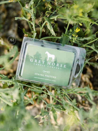 SPRING PASTURE - CLOSEOUT